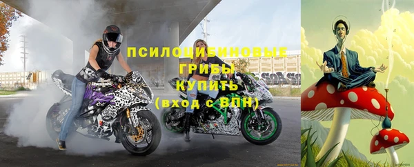 кокаин перу Дмитриев