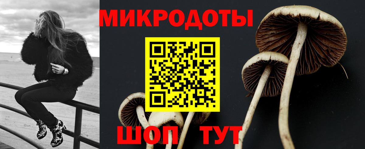 купить наркотик  Псилоцибиновые грибы Magic Shrooms  Вход с VPN  Родники 